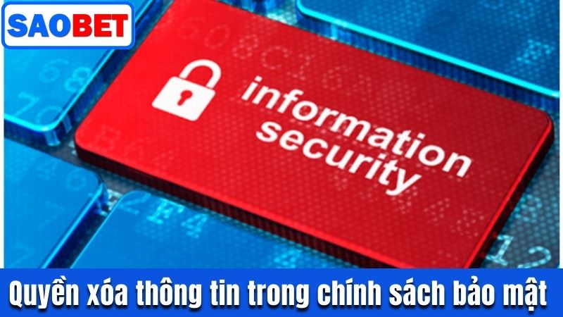 CHÍNH SÁCH BẢO MẬT SAOBET - DỮ LIỆU LUÔN AN TOÀN 100% 6 CHÍNH SÁCH BẢO MẬT